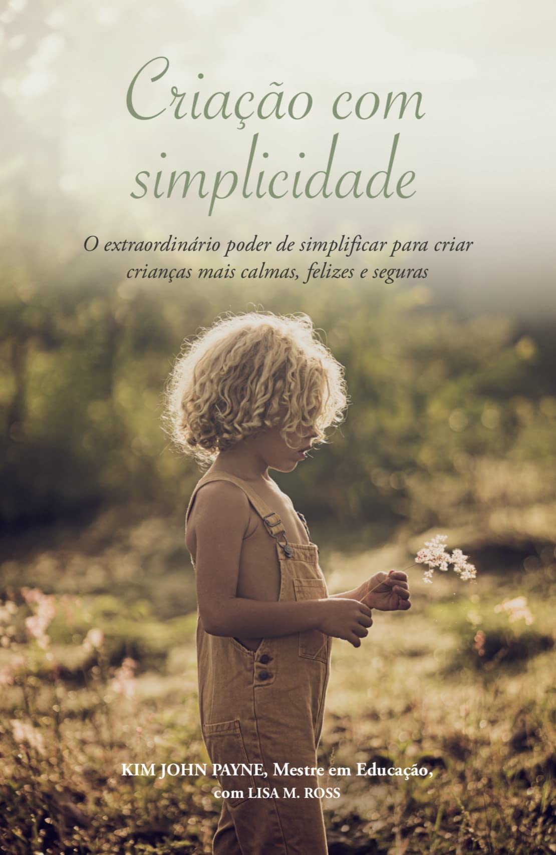 Capa do livro Criação com simplicidade